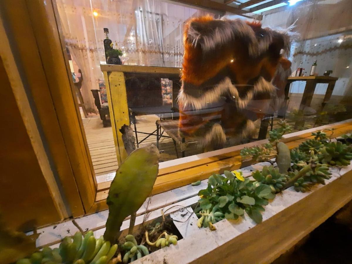 Cambará Pousada Vitrine מראה חיצוני תמונה